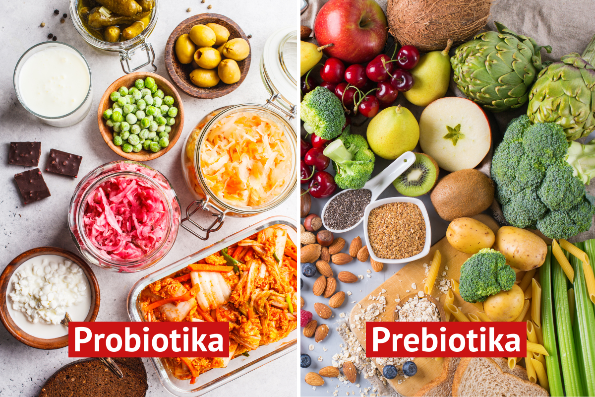 Probotika a prebiotika